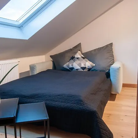 Grosse Familienfreundliche Wohnung In Dresden Eksteriør billede