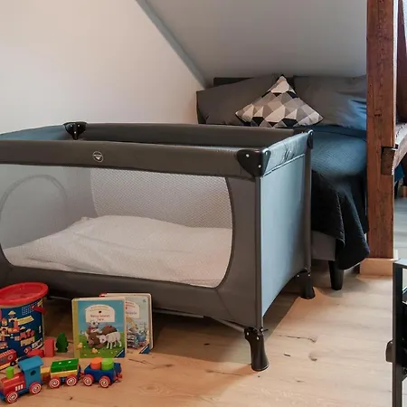 Grosse Familienfreundliche Wohnung In Dresden Eksteriør billede
